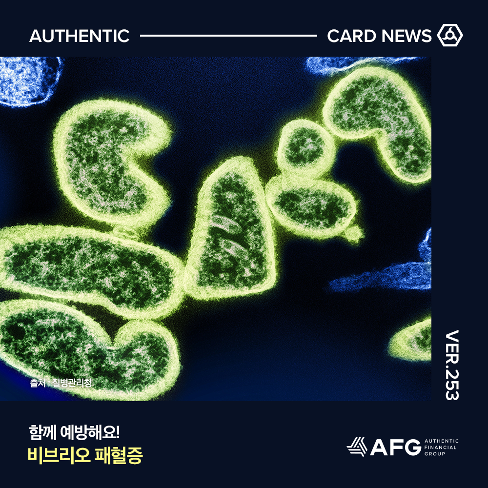 카드뉴스